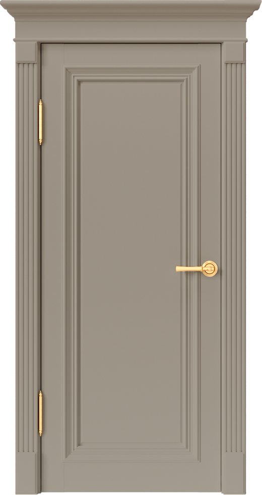 Катунь 81001