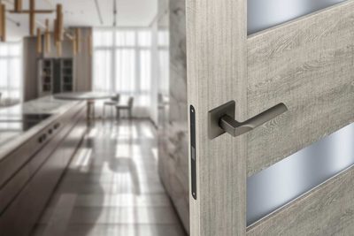 Дверная ручка ADDEN BAU SHELF S-559 GRAPHITE, фото 4